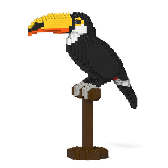 Toco Toucan 01S