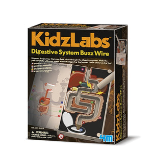 Kidzlabs Digestive System
